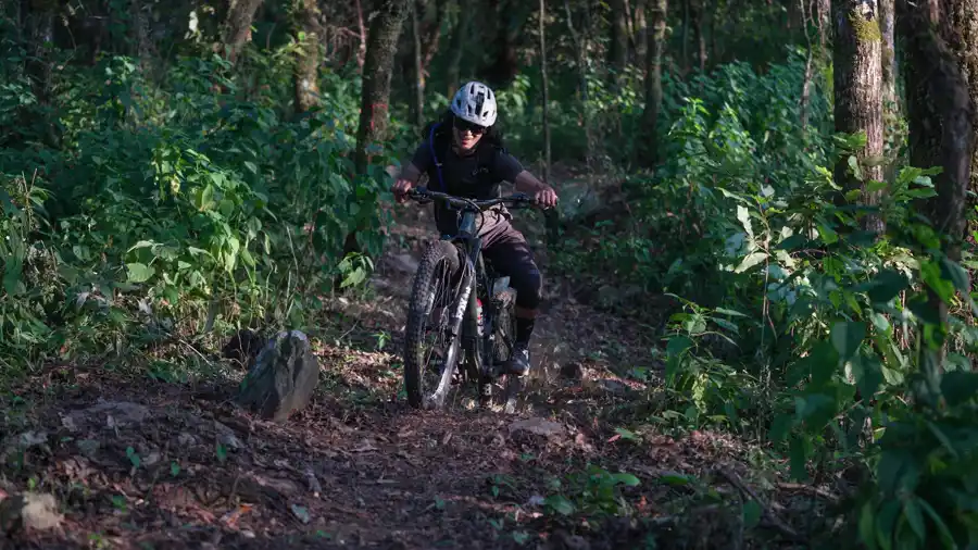 E-Bike-Gruppe auf Waldweg nahe eines Sees im Welzheimer Wald